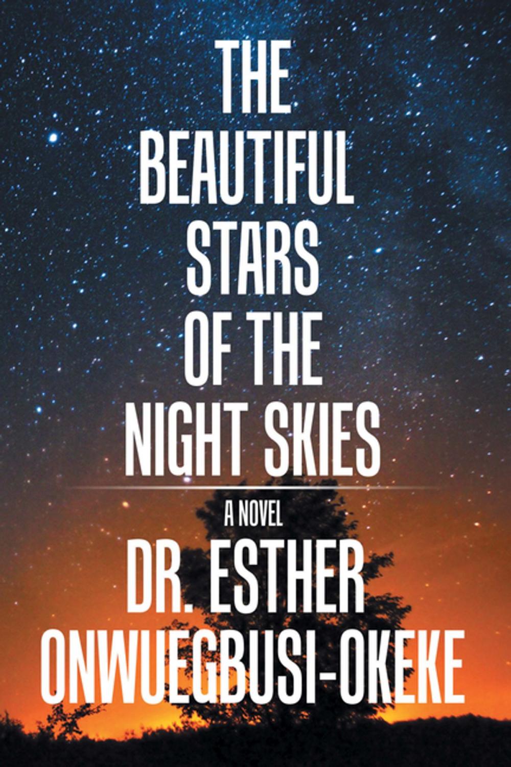 Big bigCover of The Beautiful Stars of the Night Skies