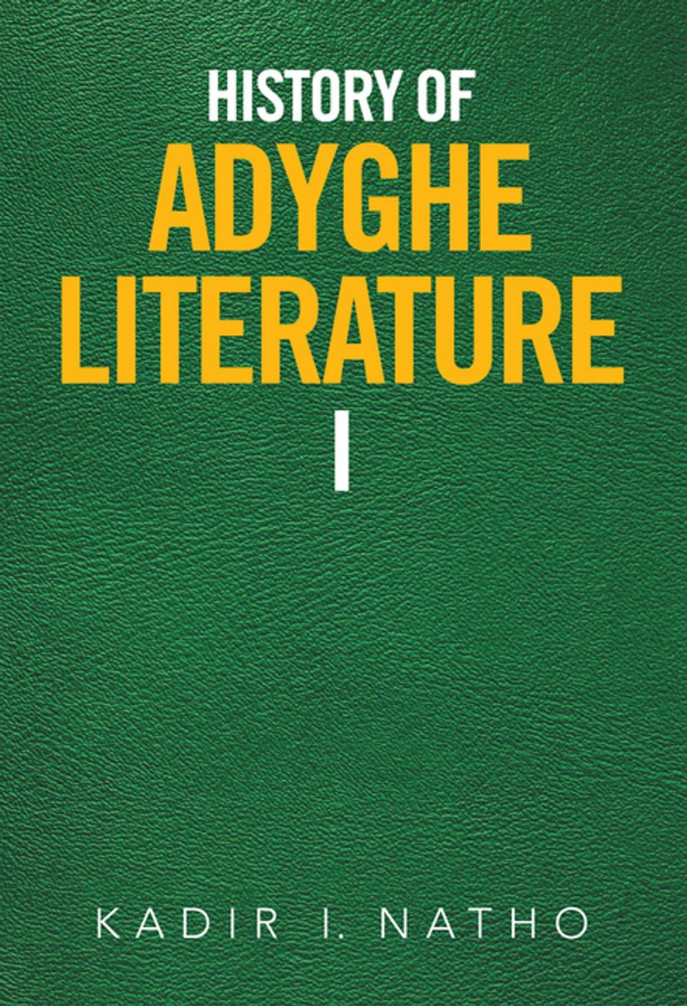 Big bigCover of History of Adyghe Literature