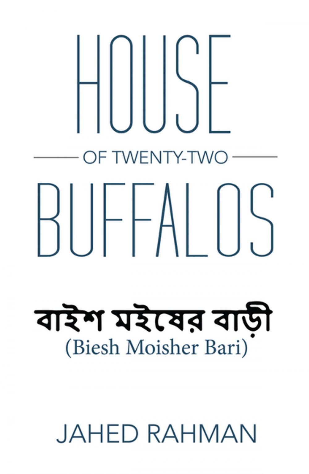 Big bigCover of House of Twenty-Two Buffalos