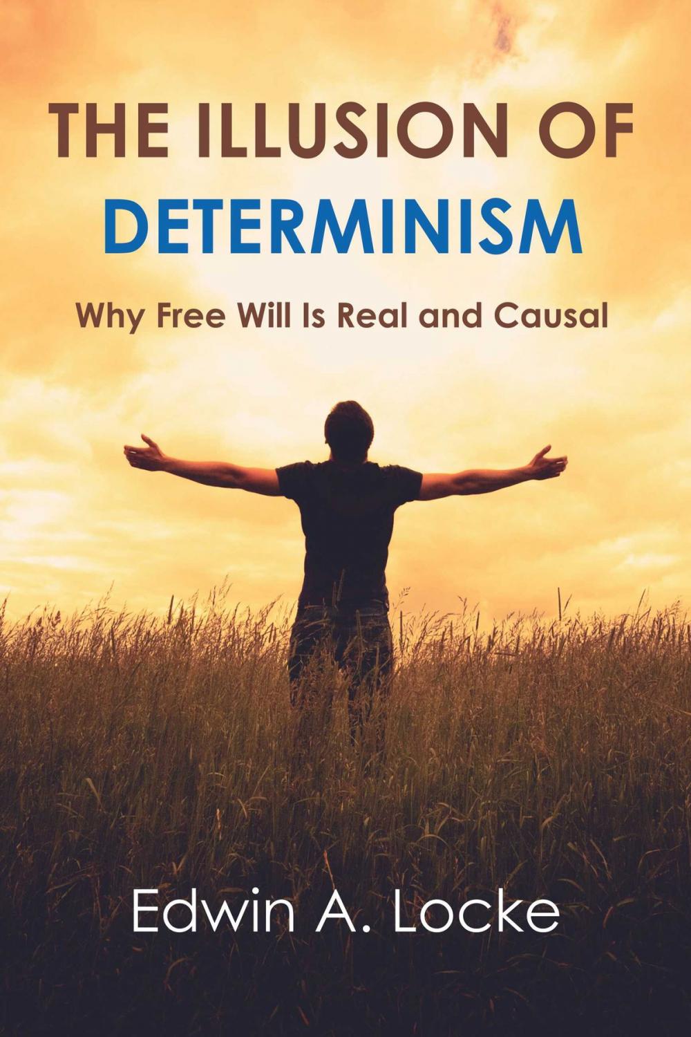 Big bigCover of The Illusion of Determinism