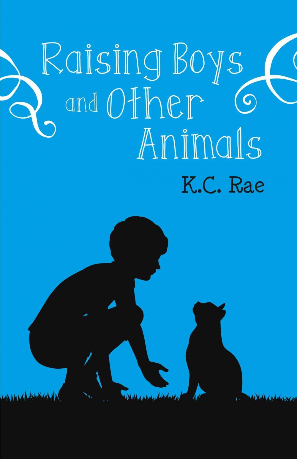 Big bigCover of Raising Boys and Other Animals