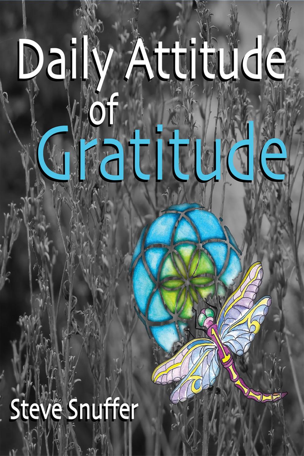 Big bigCover of Daily Attitude of Gratitude