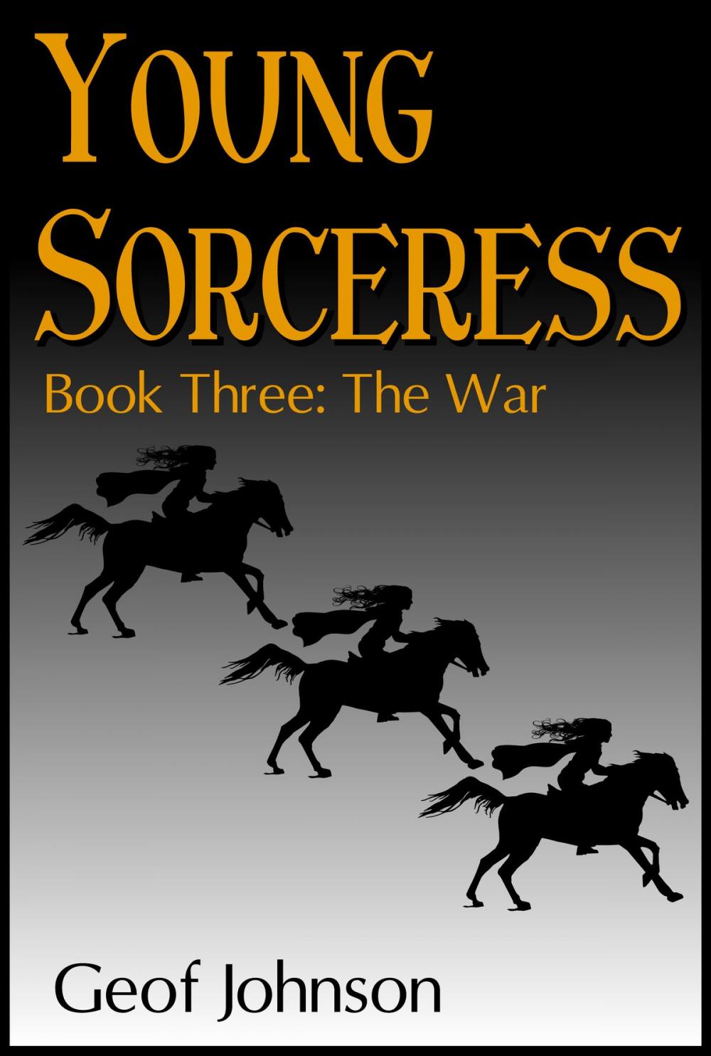 Big bigCover of Young Sorceress Book 3: The War