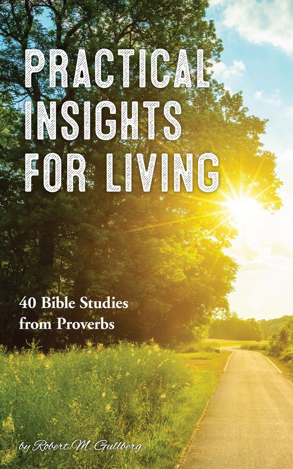 Big bigCover of Practical Insights for Living: 40 Bible Studies from Proverbs