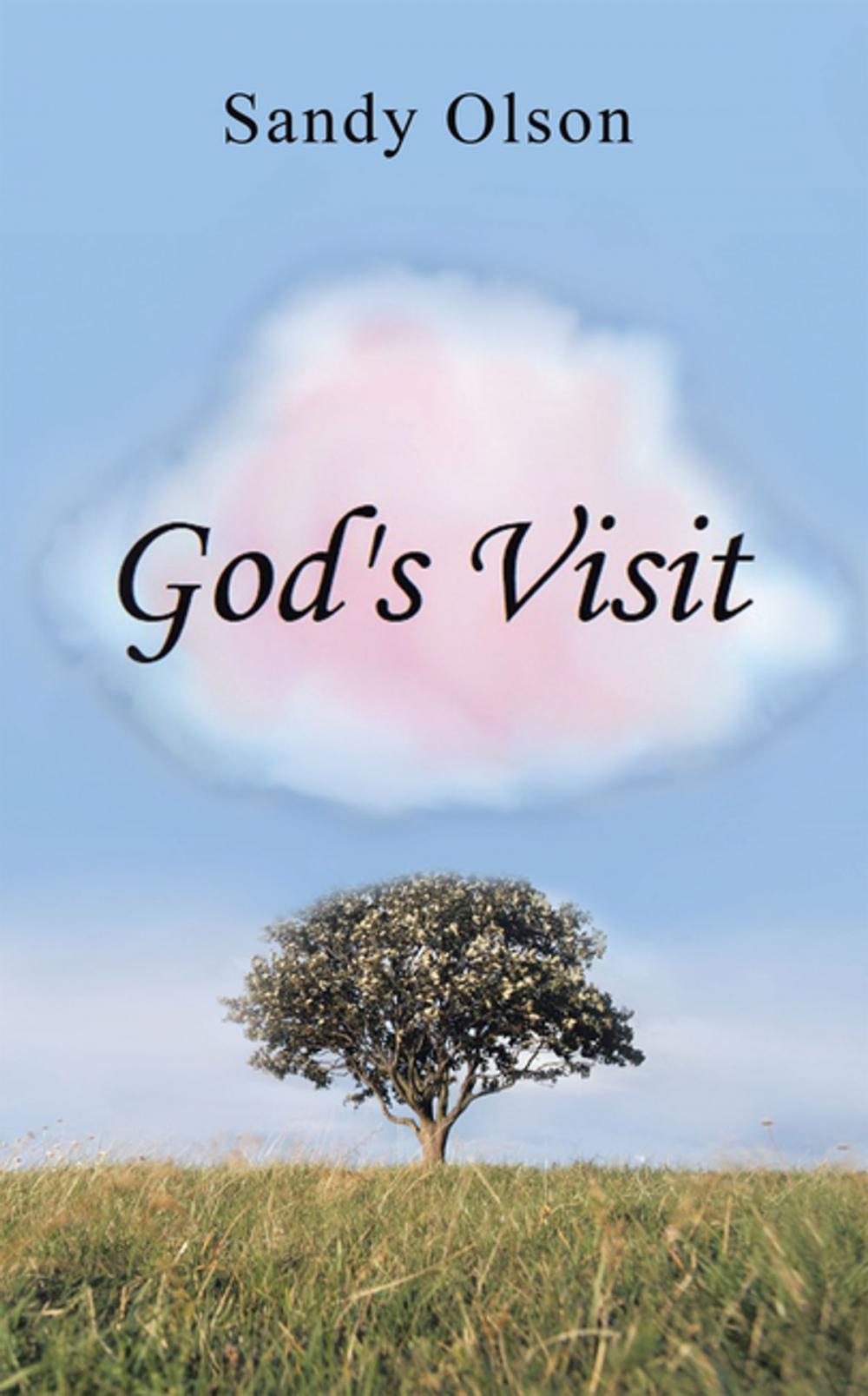 Big bigCover of God’s Visit