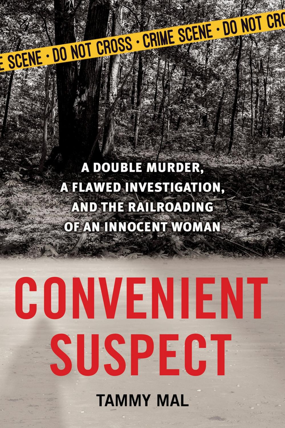 Big bigCover of Convenient Suspect