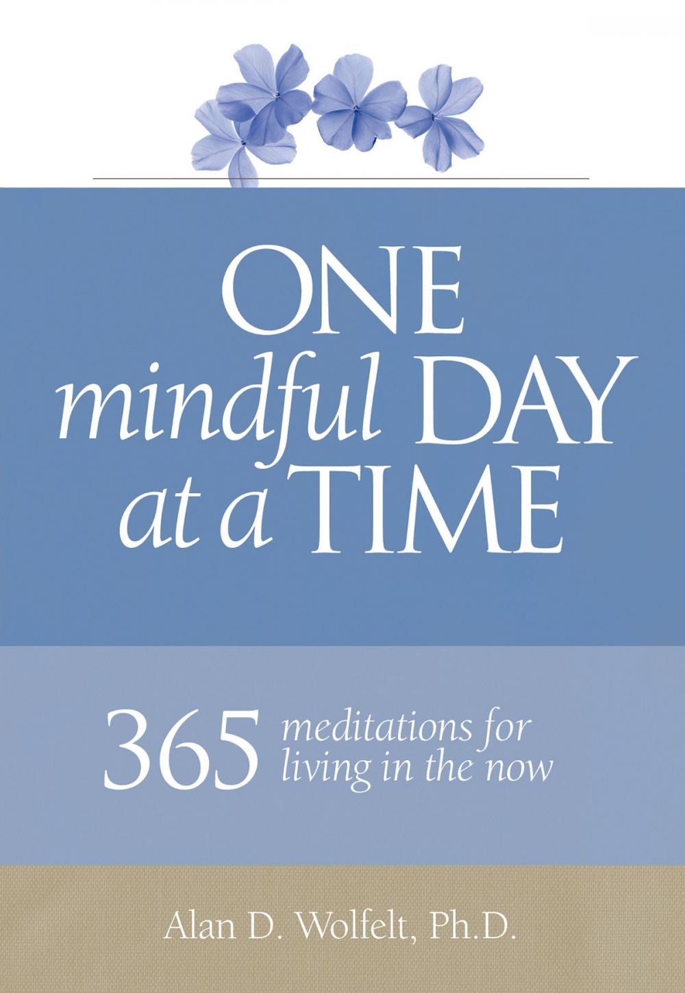 Big bigCover of One Mindful Day at a Time
