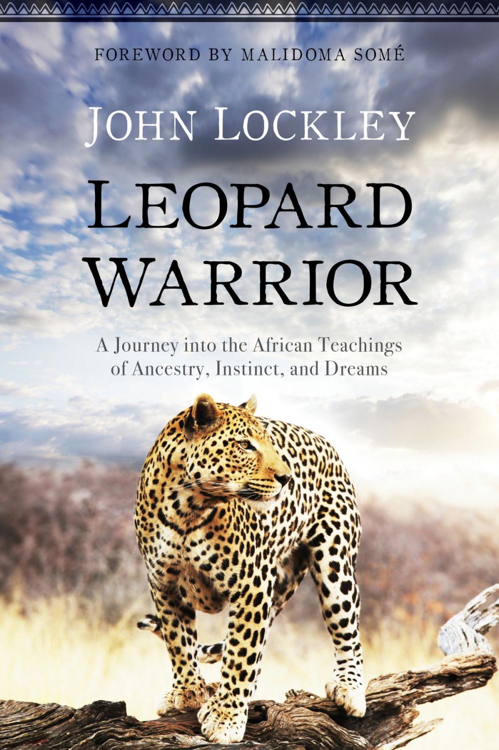 Big bigCover of Leopard Warrior