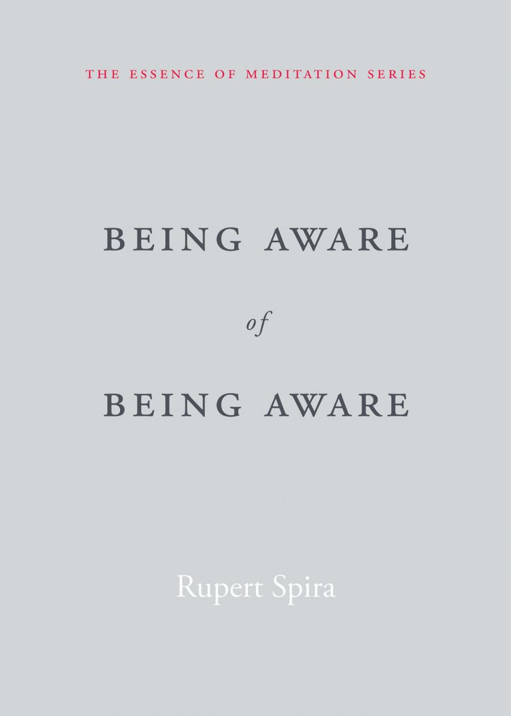 Big bigCover of Being Aware of Being Aware