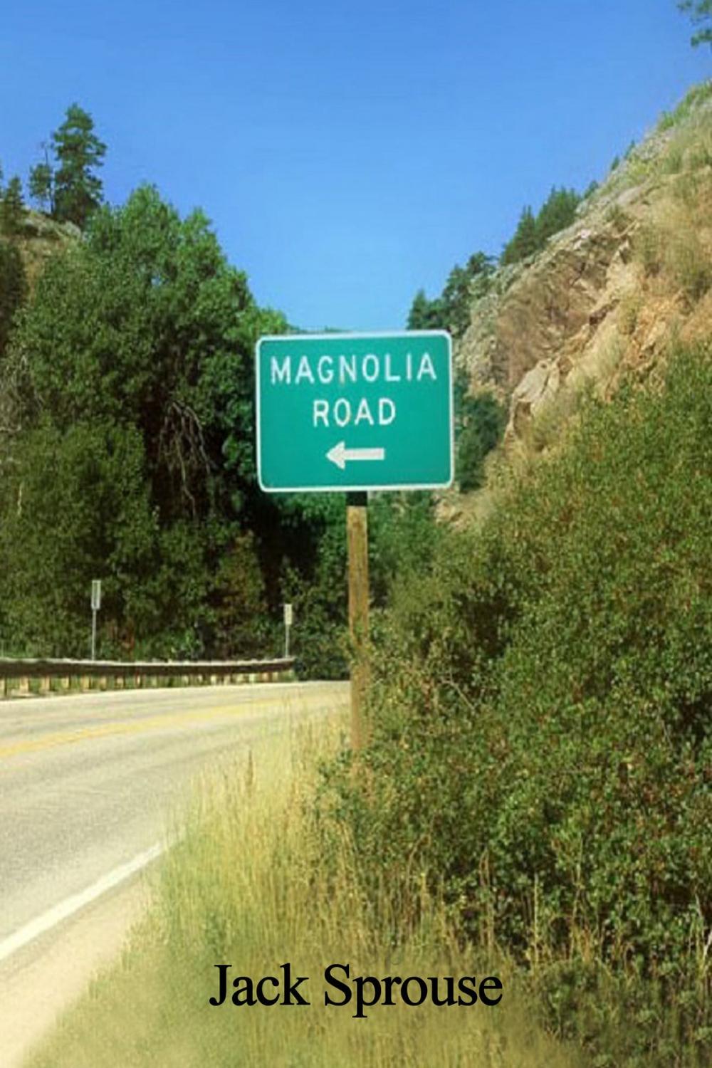 Big bigCover of Magnolia Road