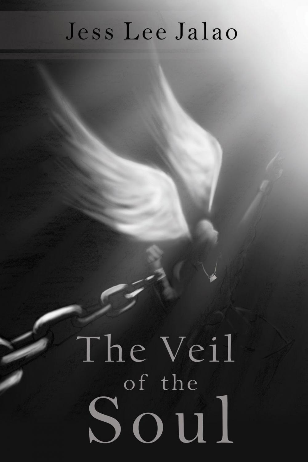 Big bigCover of The Veil of the Soul