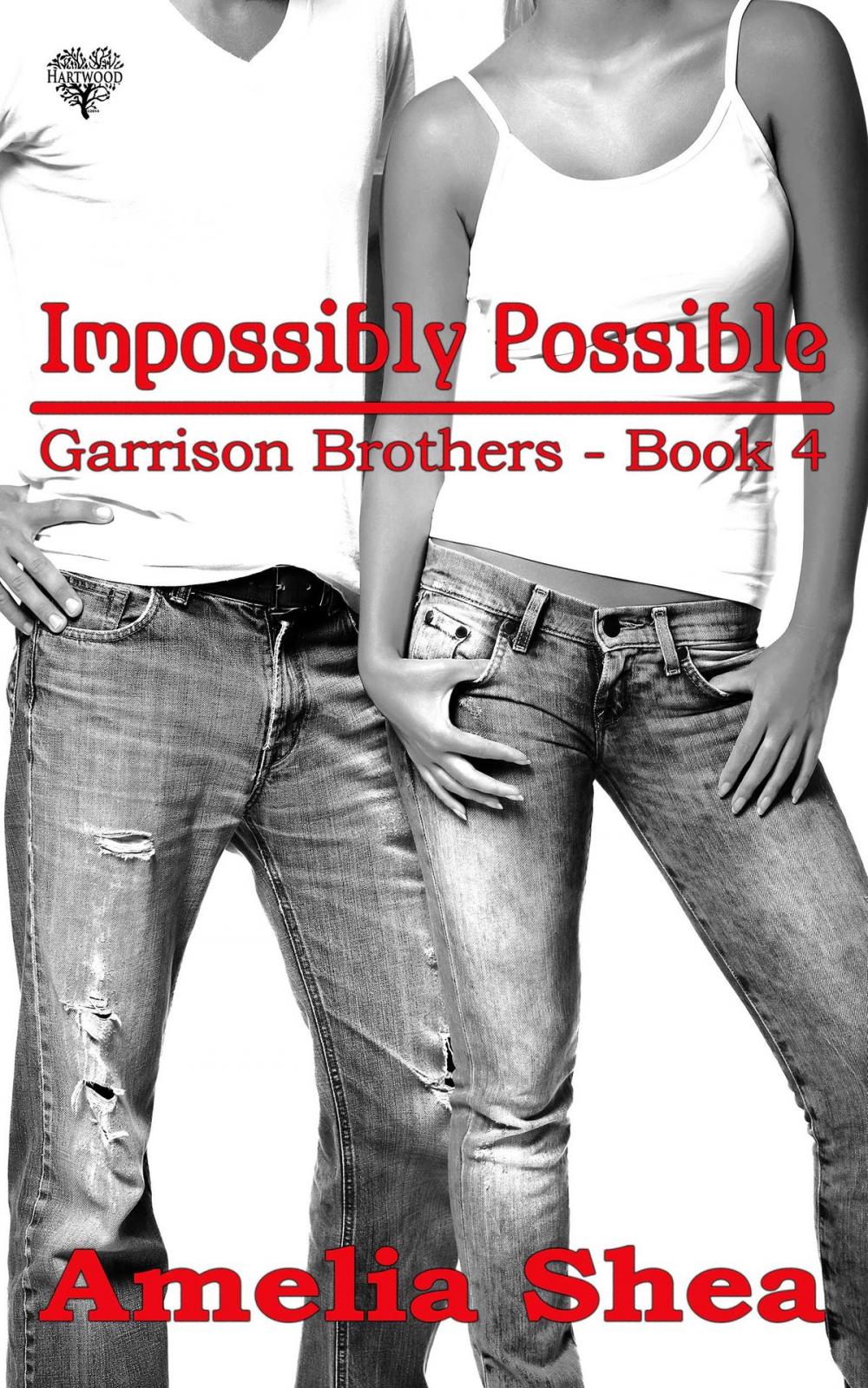 Big bigCover of Impossibly Possible