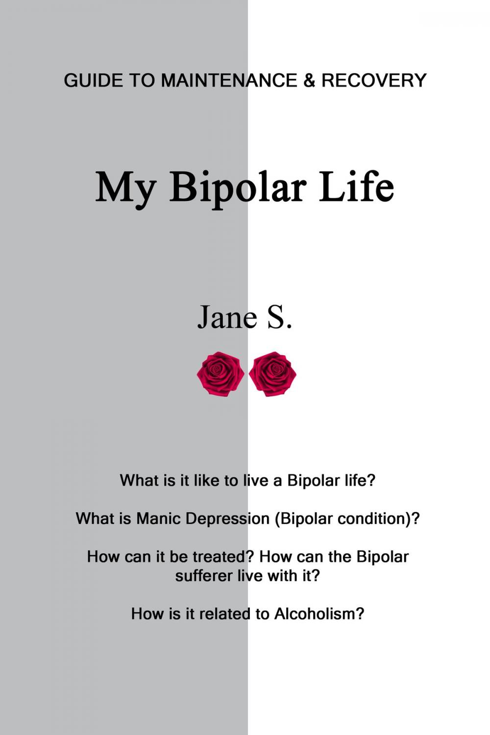 Big bigCover of My Bipolar Life