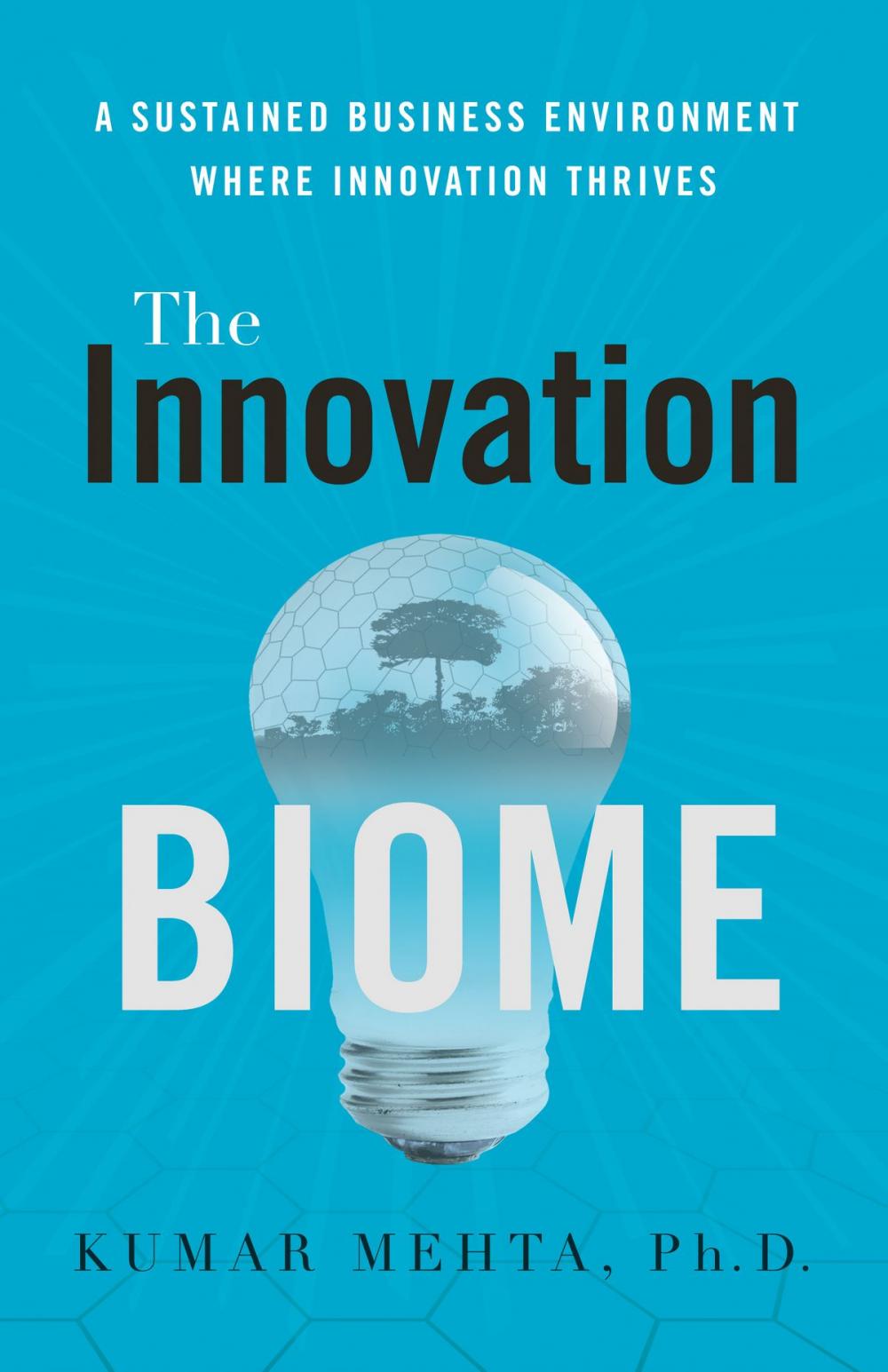 Big bigCover of The Innovation Biome