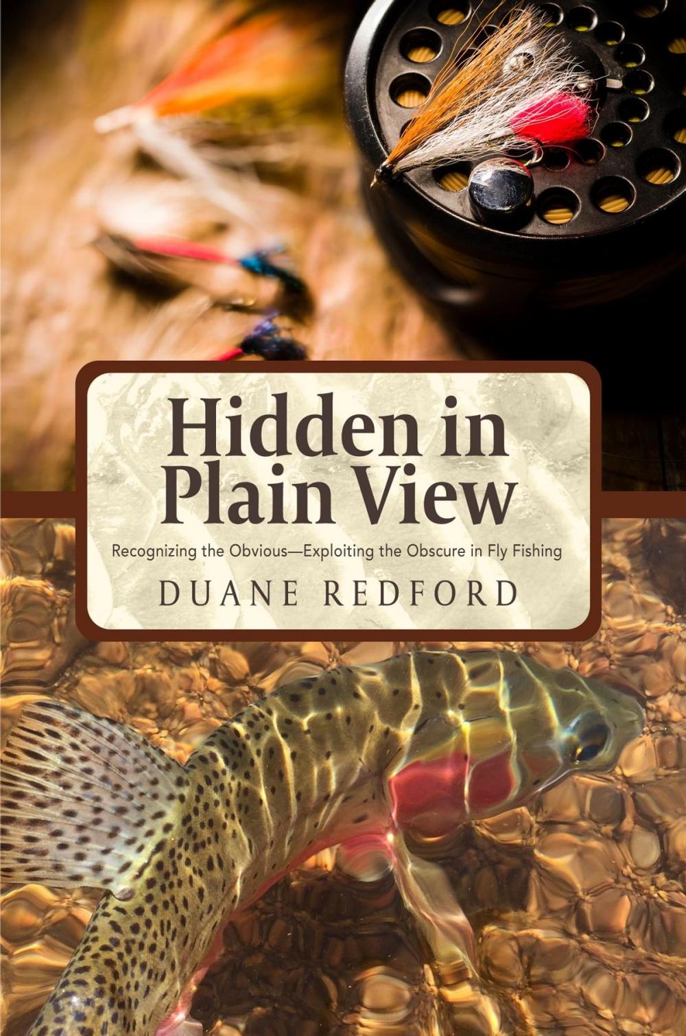 Big bigCover of Hidden in Plain View