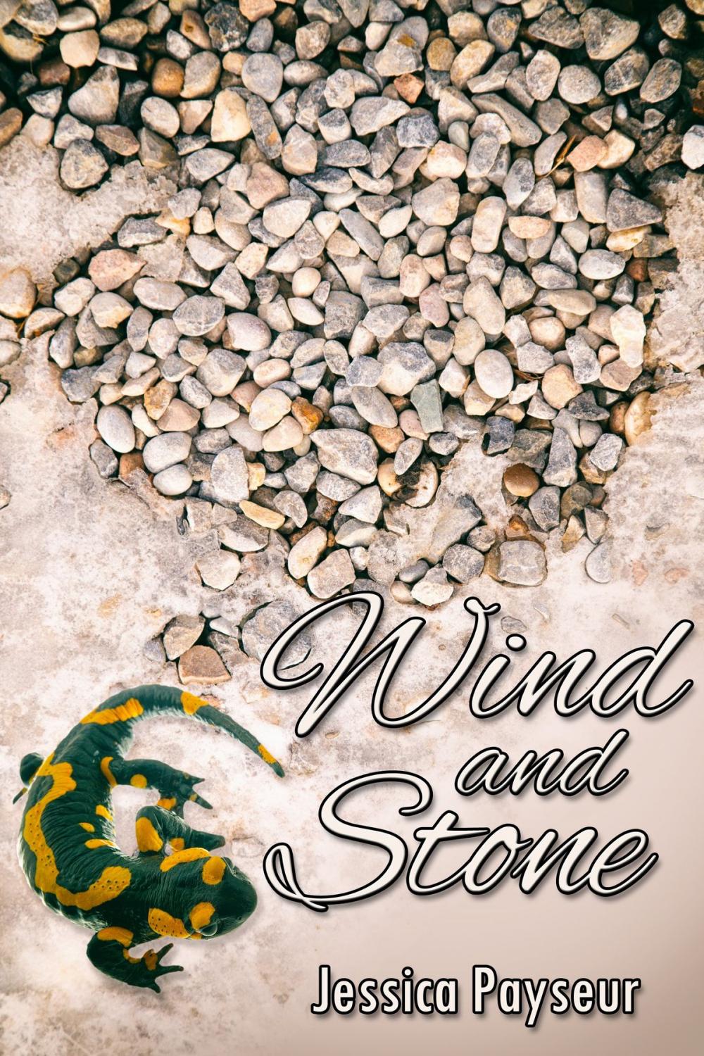 Big bigCover of Wind and Stone