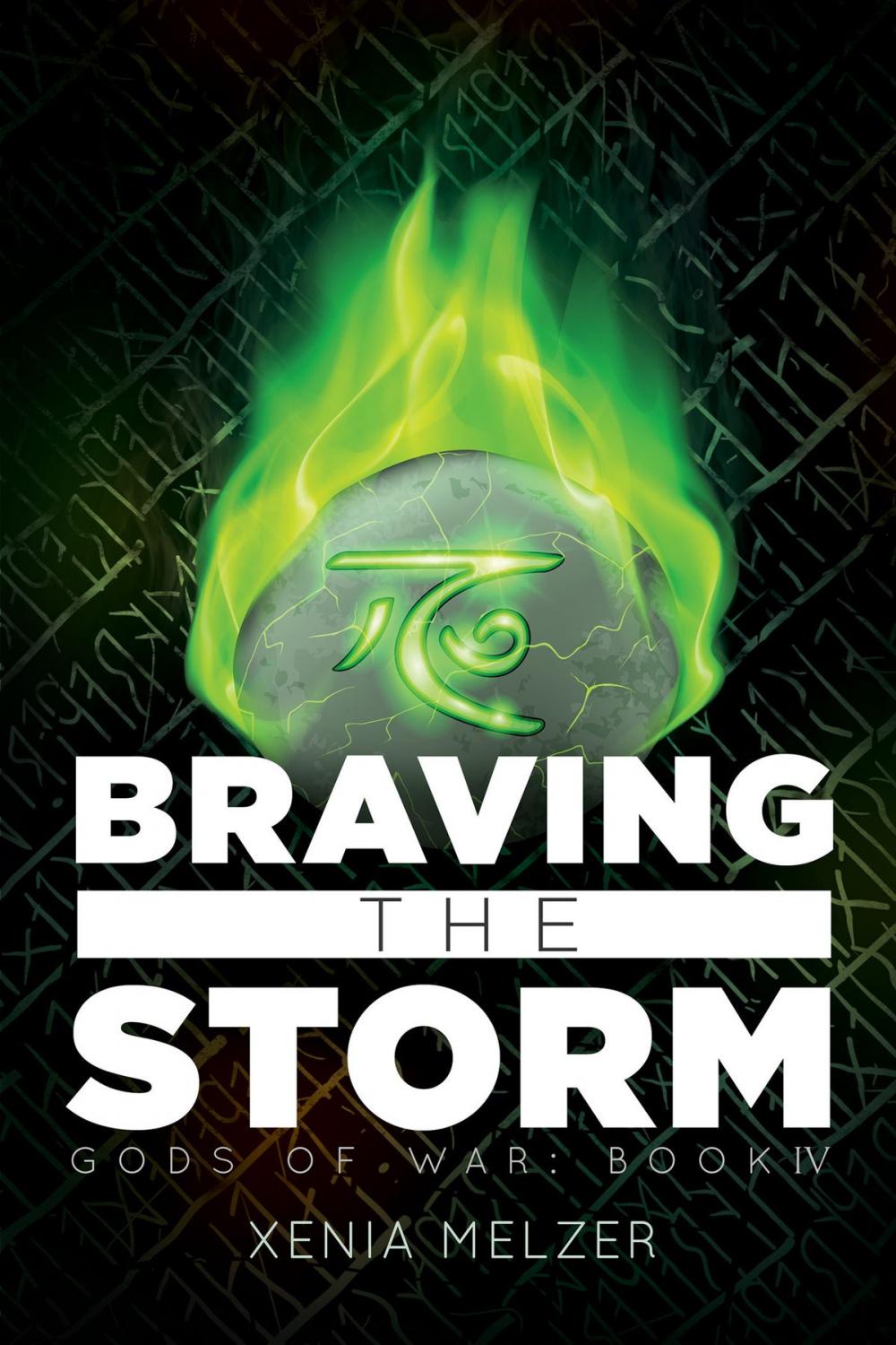 Big bigCover of Braving the Storm