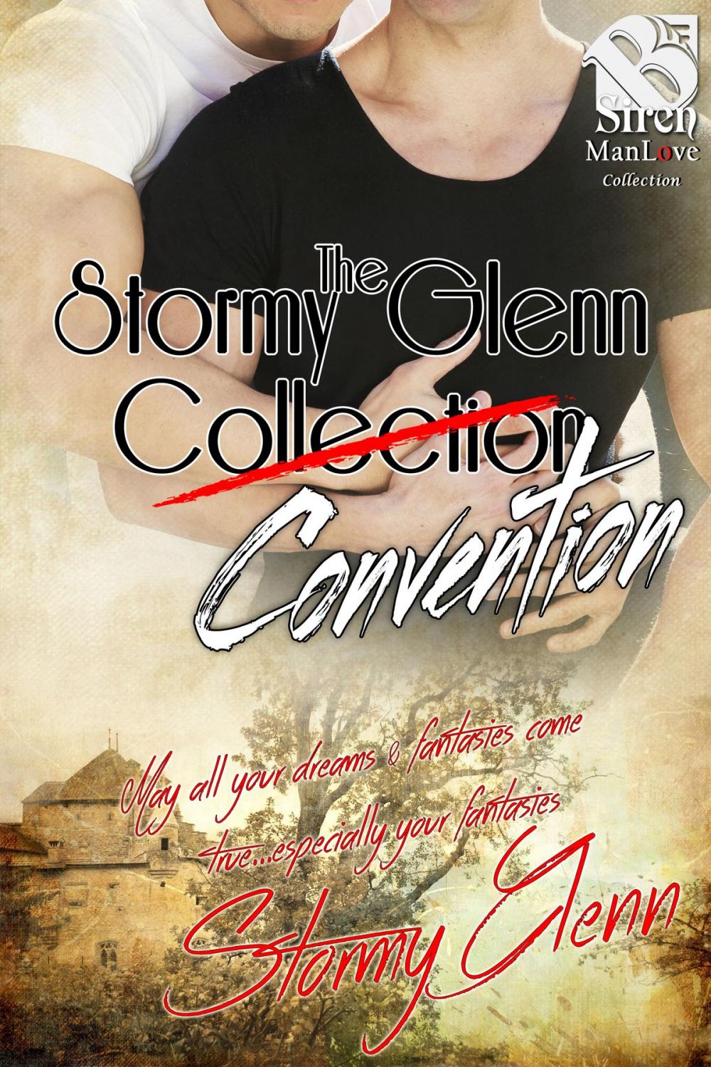 Big bigCover of The Stormy Glenn Convention