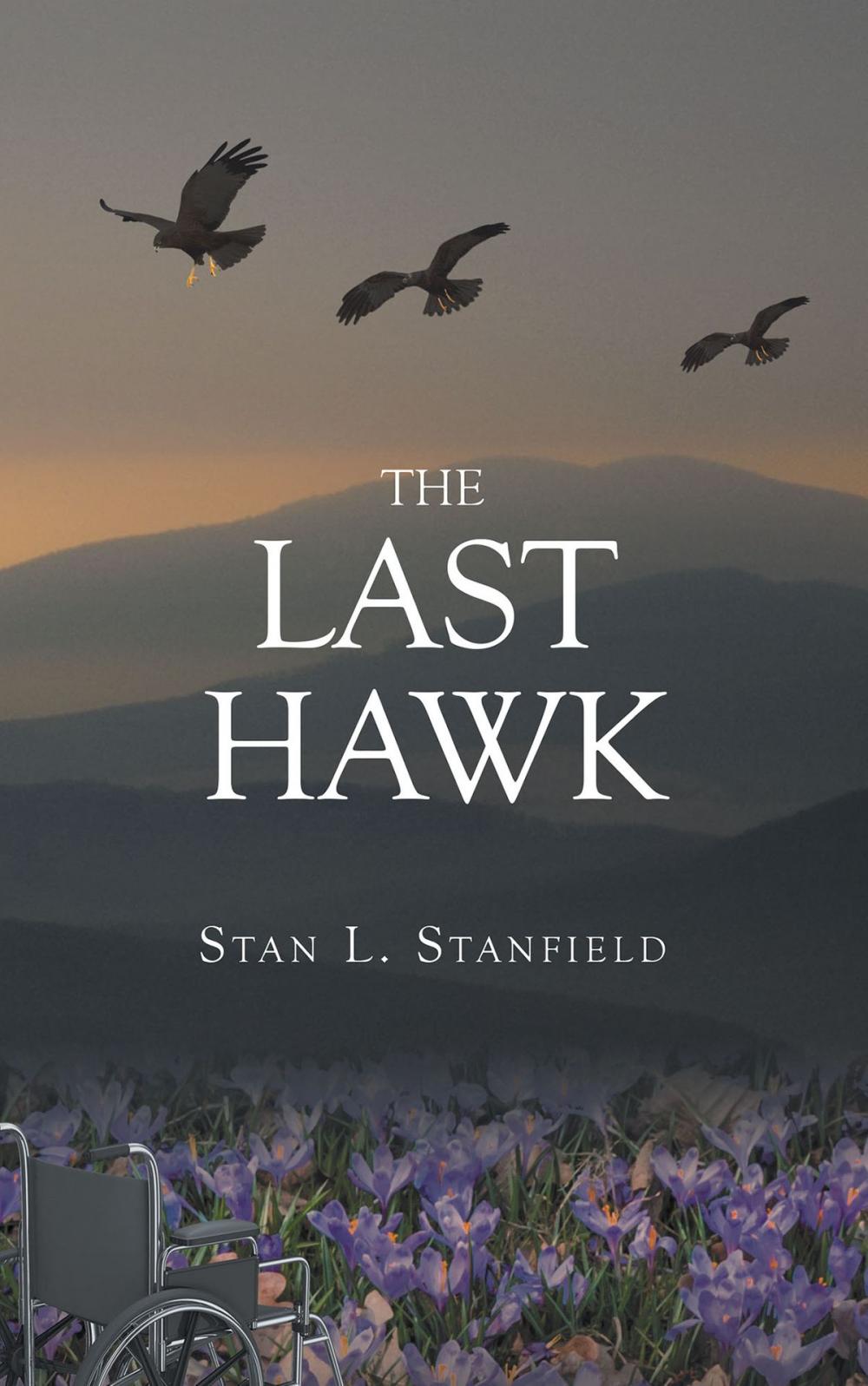 Big bigCover of The Last Hawk