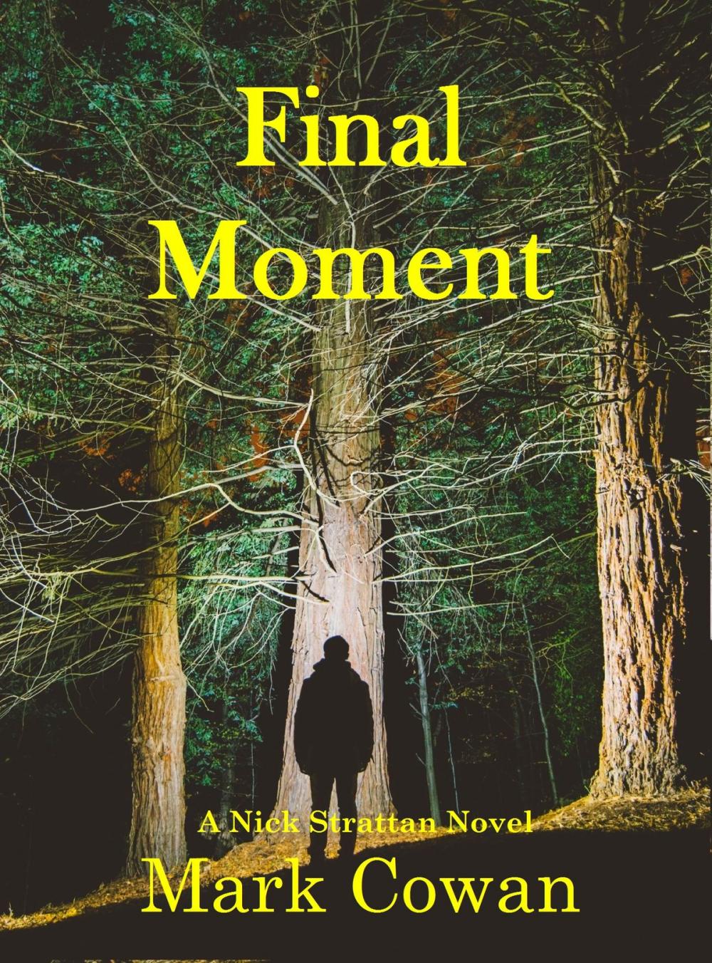 Big bigCover of Final Moment