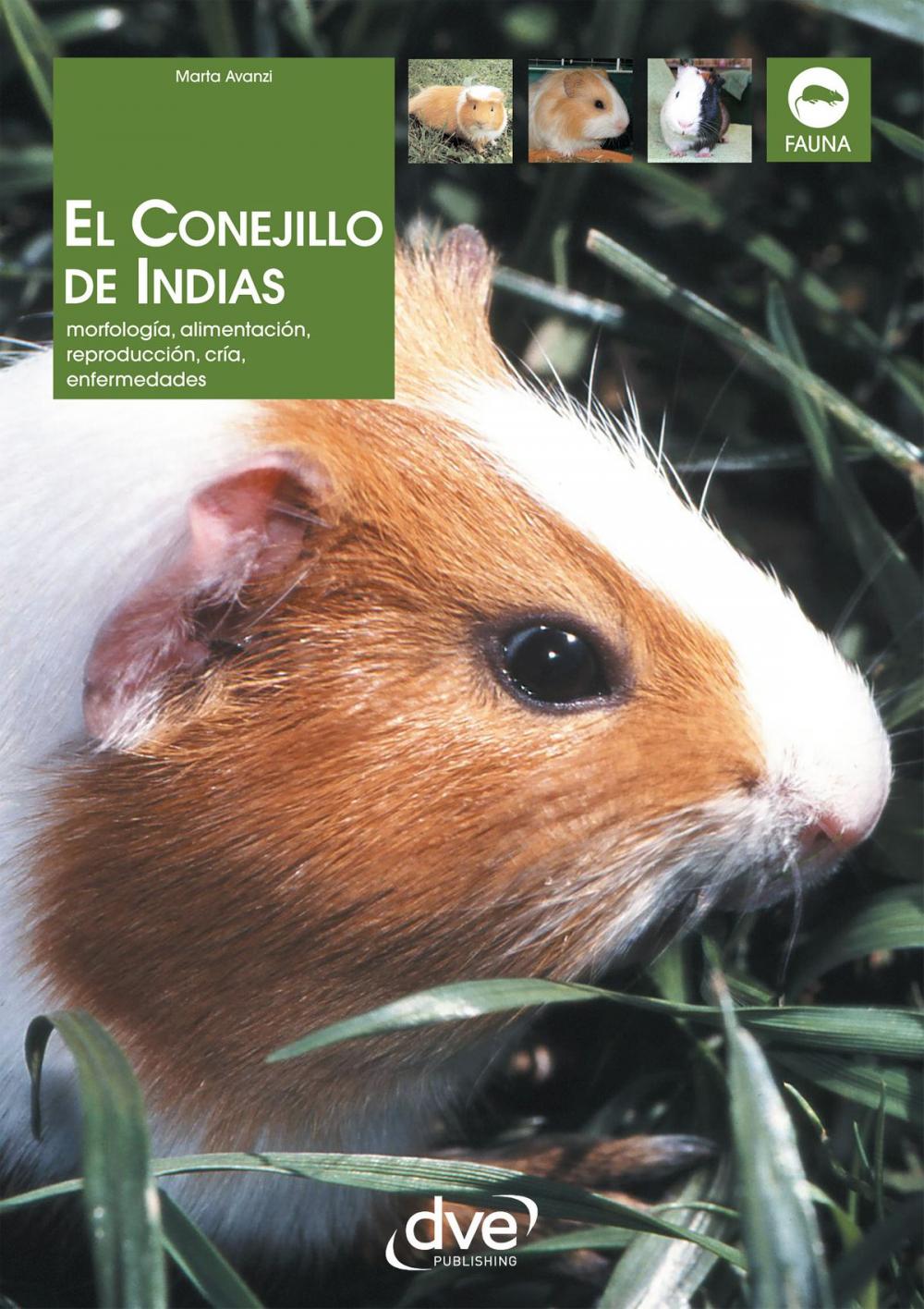 Big bigCover of El Conejillo de Indias. Morfología, alimentación, reproducción, prevención y tratamiento de las enfermedades