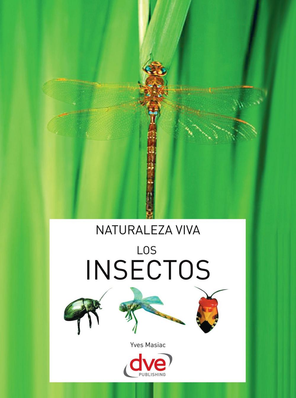 Big bigCover of Los insectos