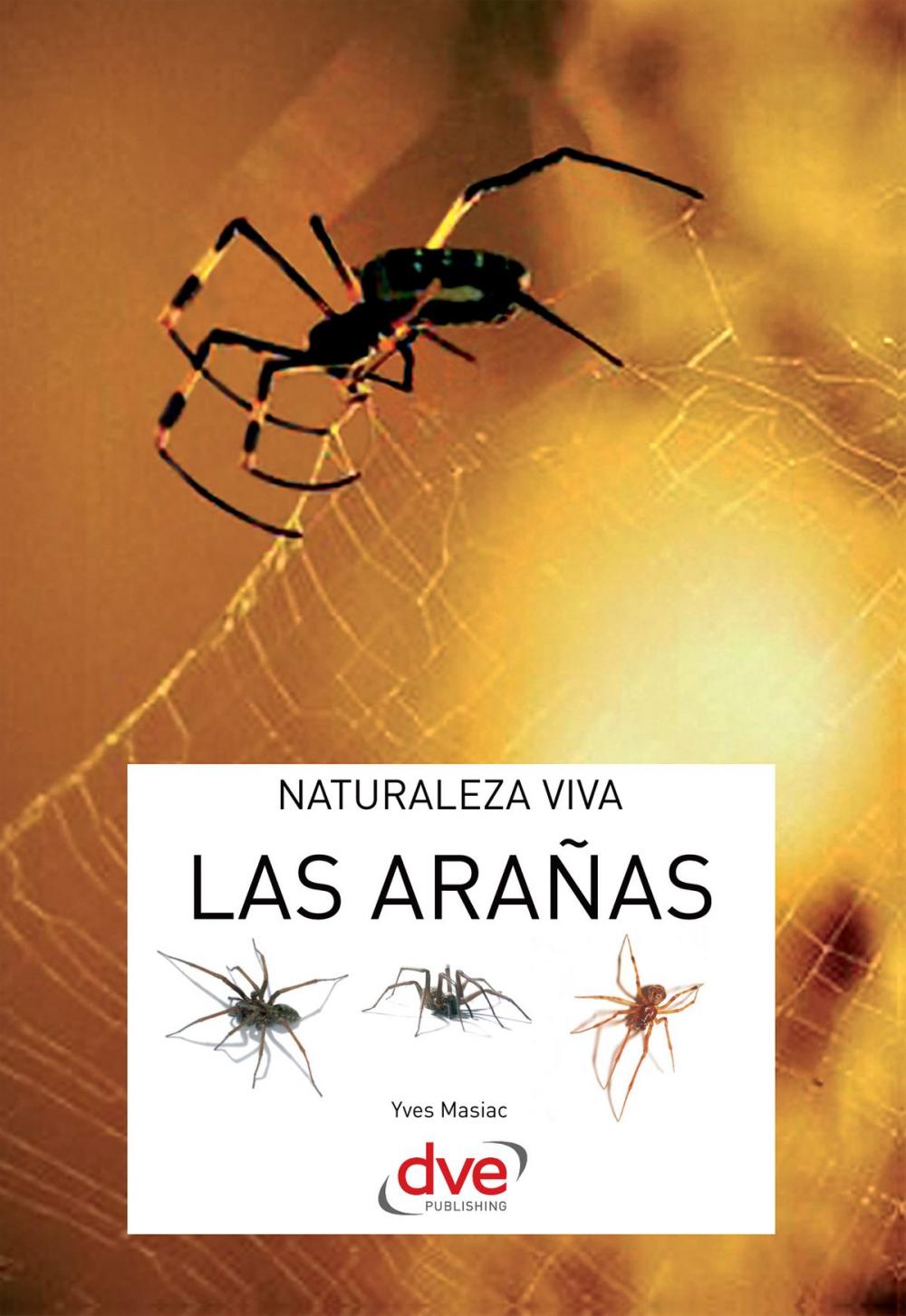 Big bigCover of Las arañas