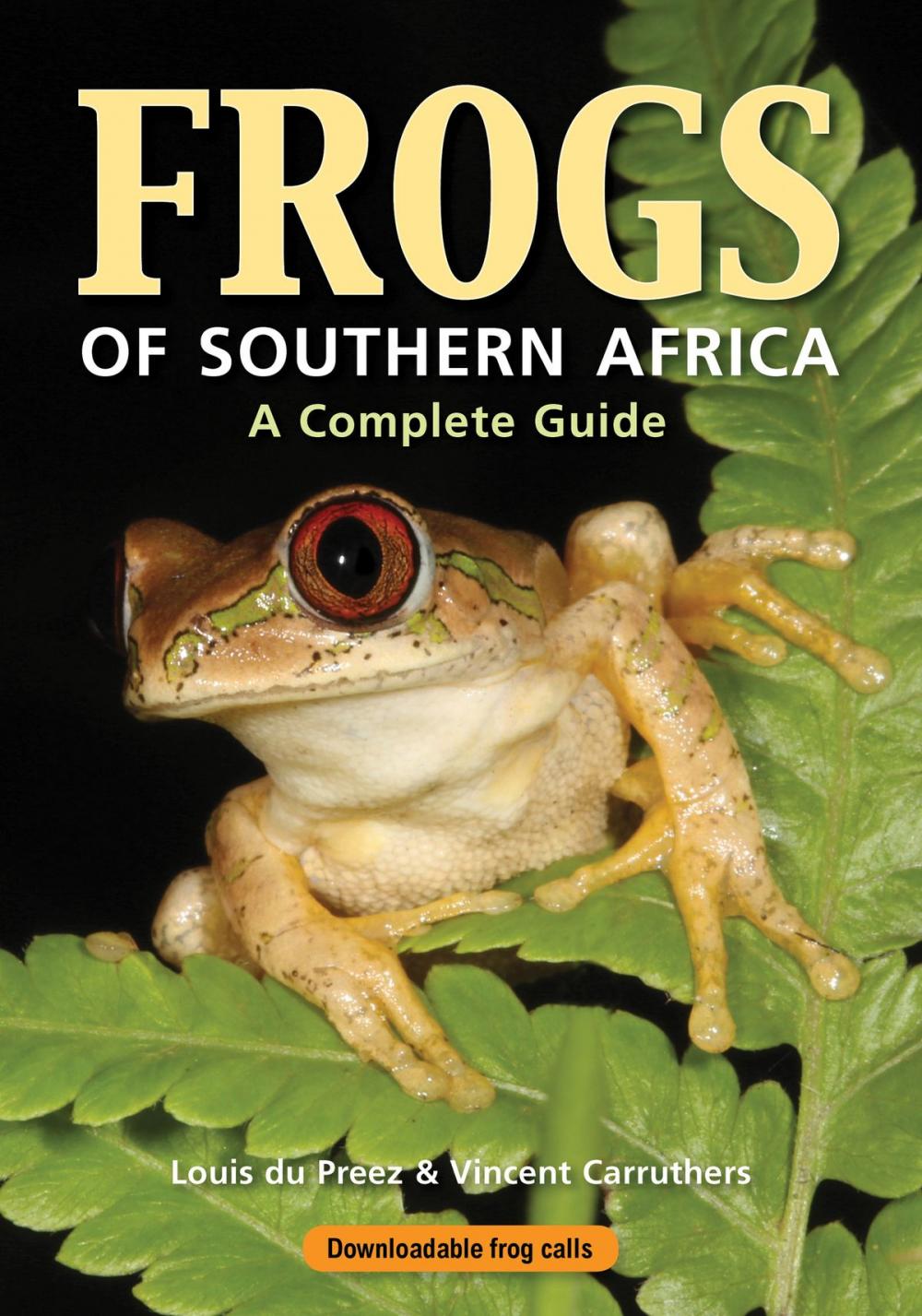 Big bigCover of Frogs of Southern Africa – A Complete Guide