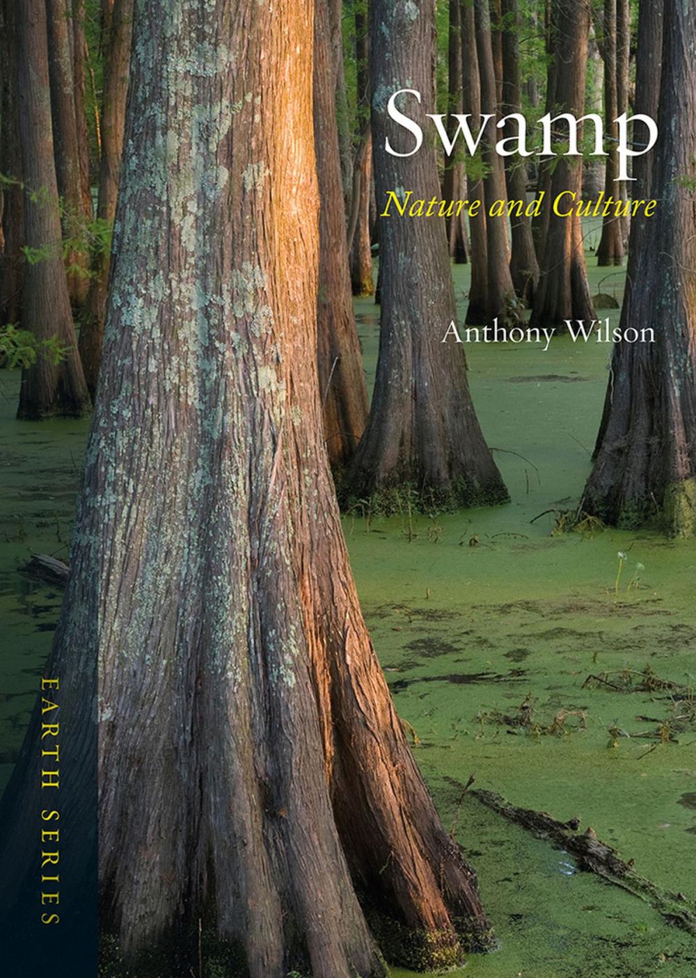 Big bigCover of Swamp