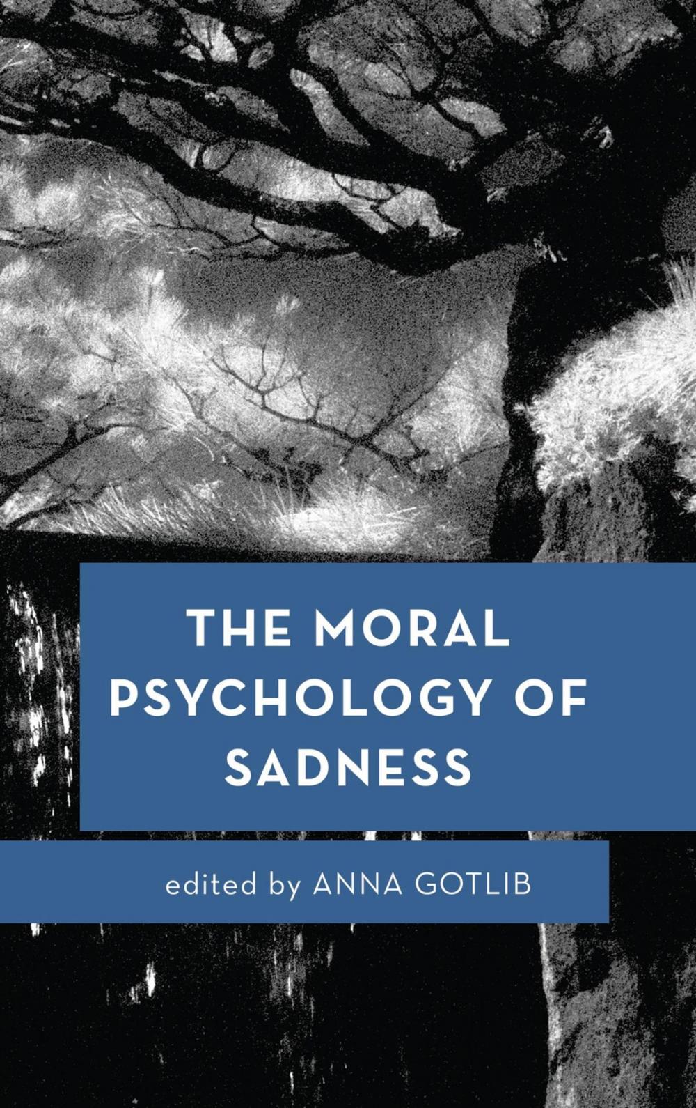 Big bigCover of The Moral Psychology of Sadness