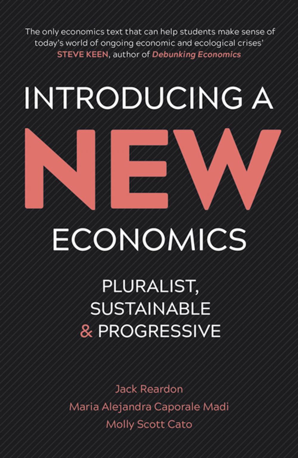 Big bigCover of Introducing a New Economics