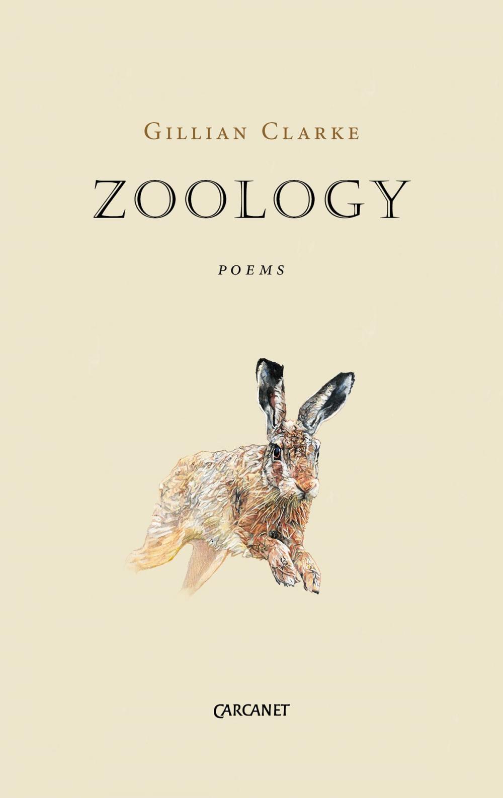 Big bigCover of Zoology