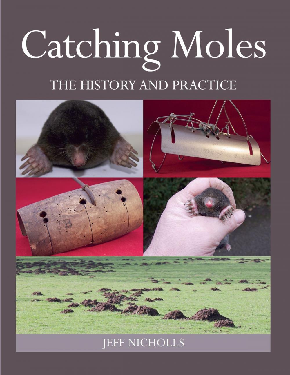 Big bigCover of Catching Moles