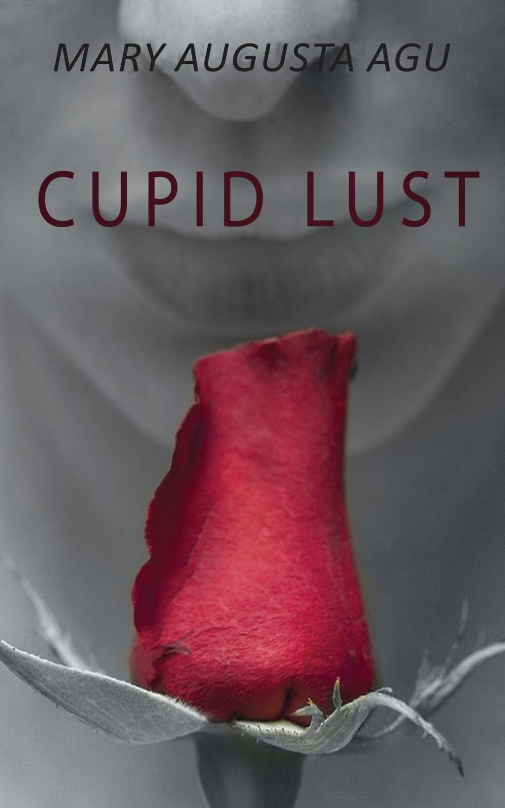 Big bigCover of Cupid Lust