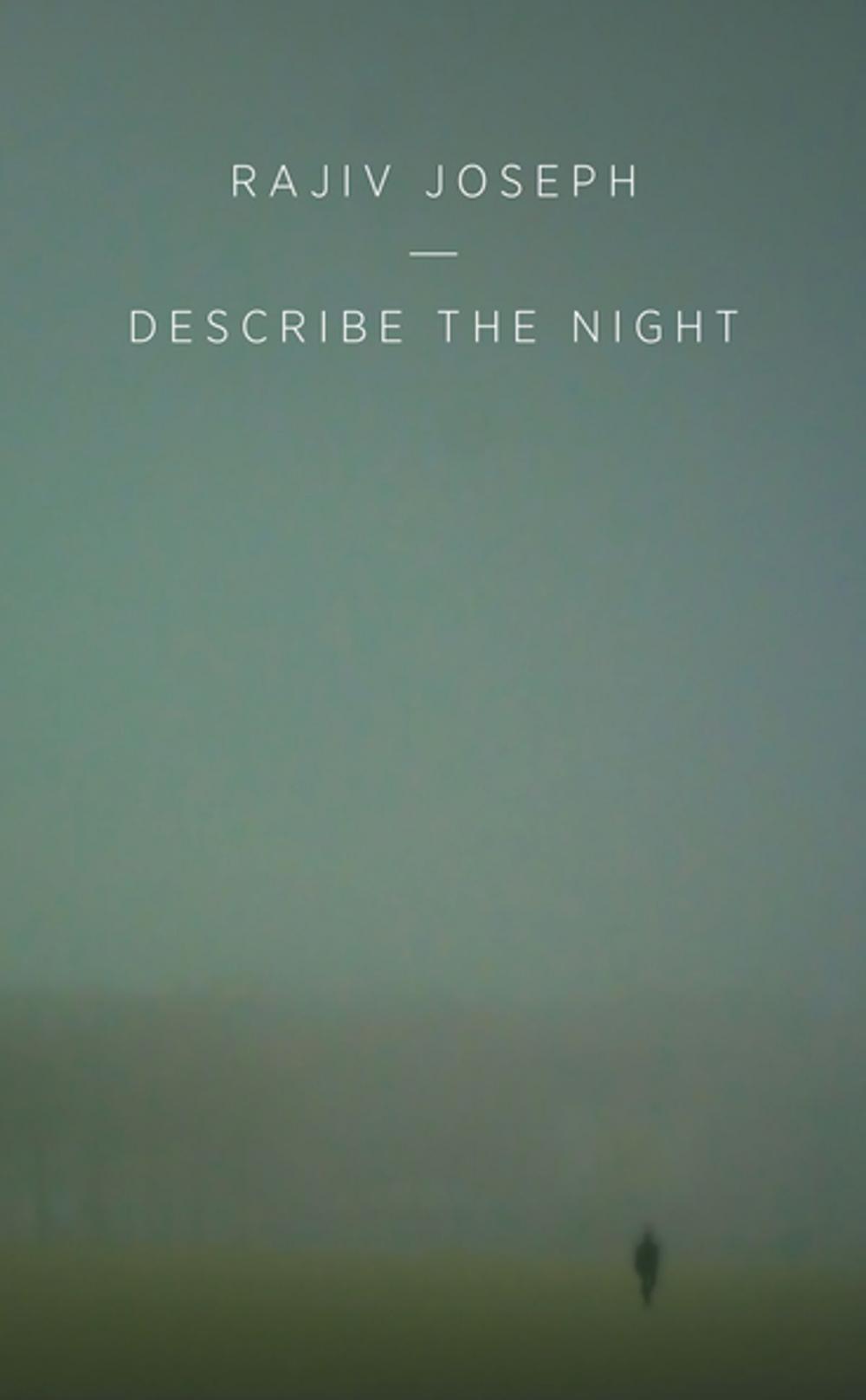 Big bigCover of Describe the Night