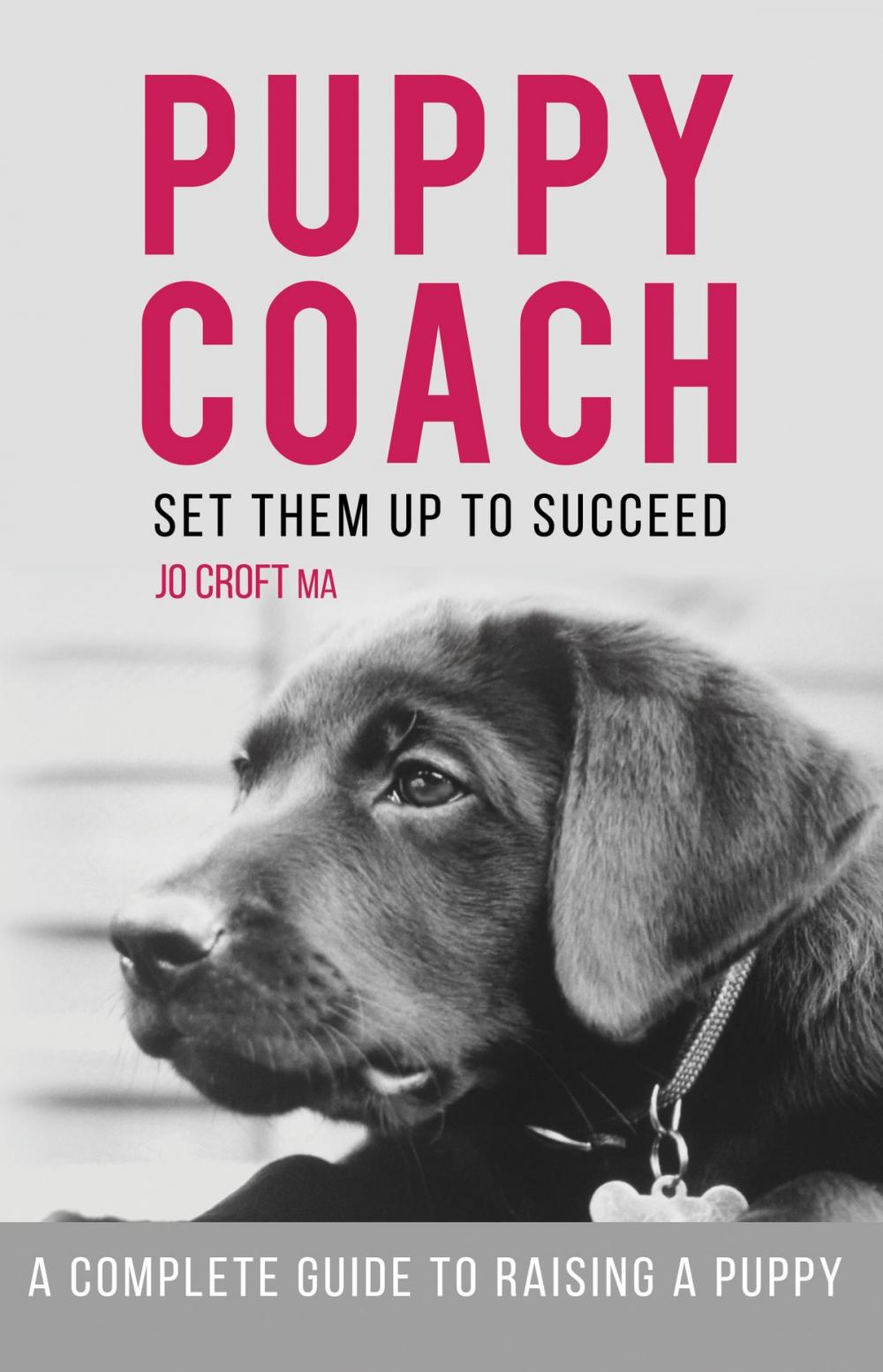 Big bigCover of Puppy Coach