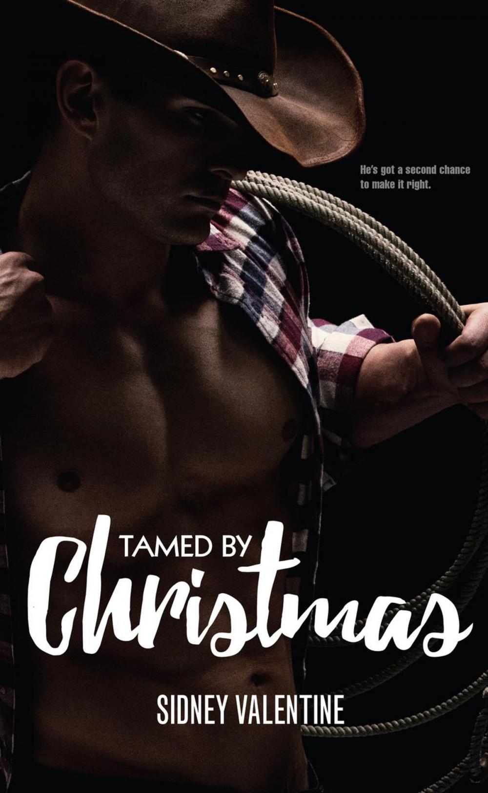 Big bigCover of Tamed by Christmas