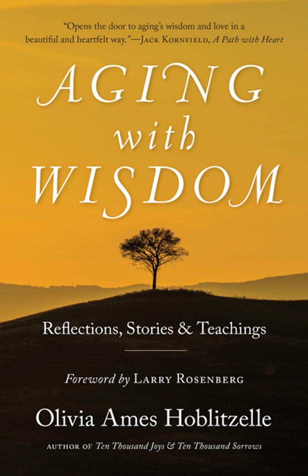 Big bigCover of Aging with Wisdom