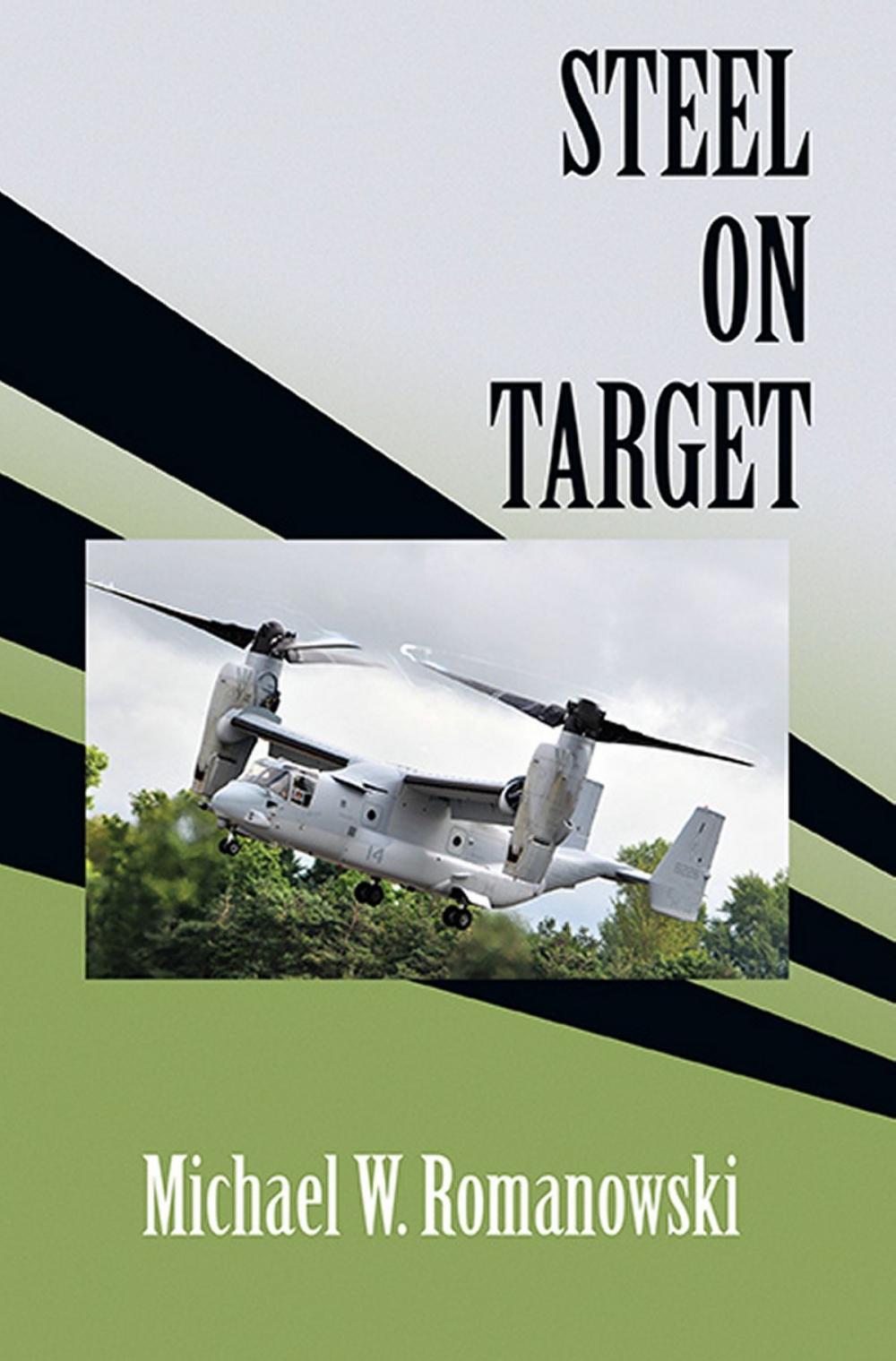 Big bigCover of Steel on Target: A Novel