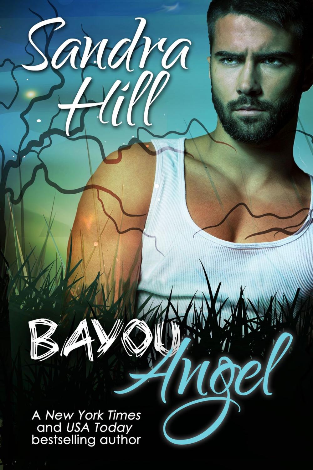 Big bigCover of Bayou Angel