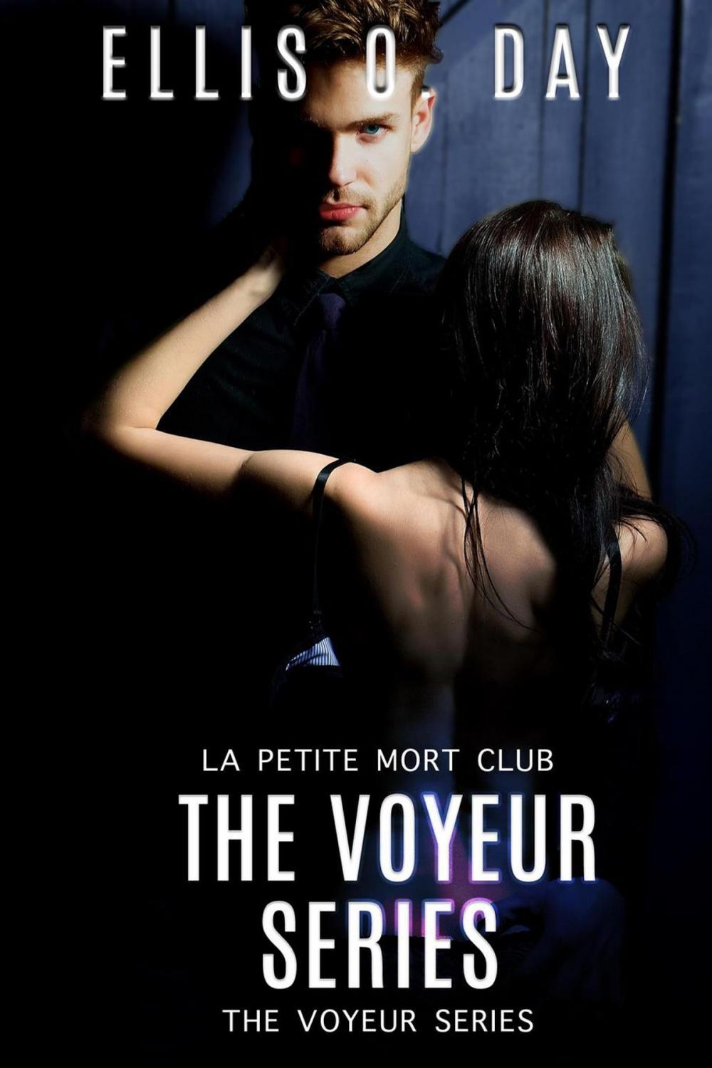 Big bigCover of The Voyeur Series Books 1 - 4