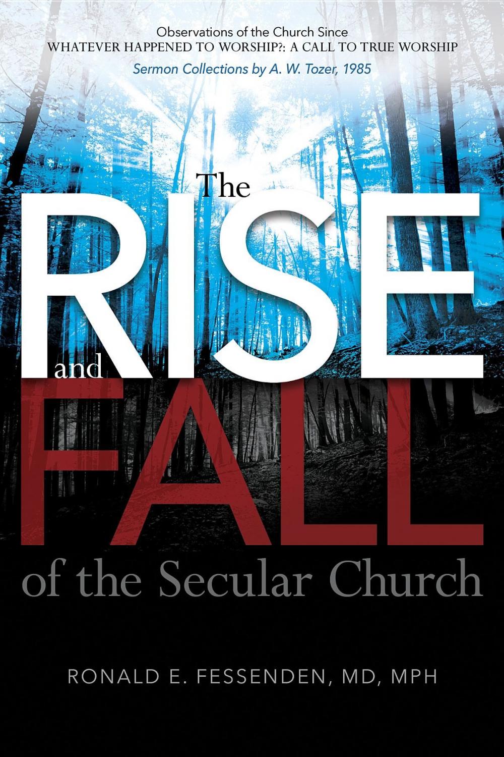 Big bigCover of The Rise (and Fall) of the Secular Church: Observations of the Church Since Whatever Happened to Worship?