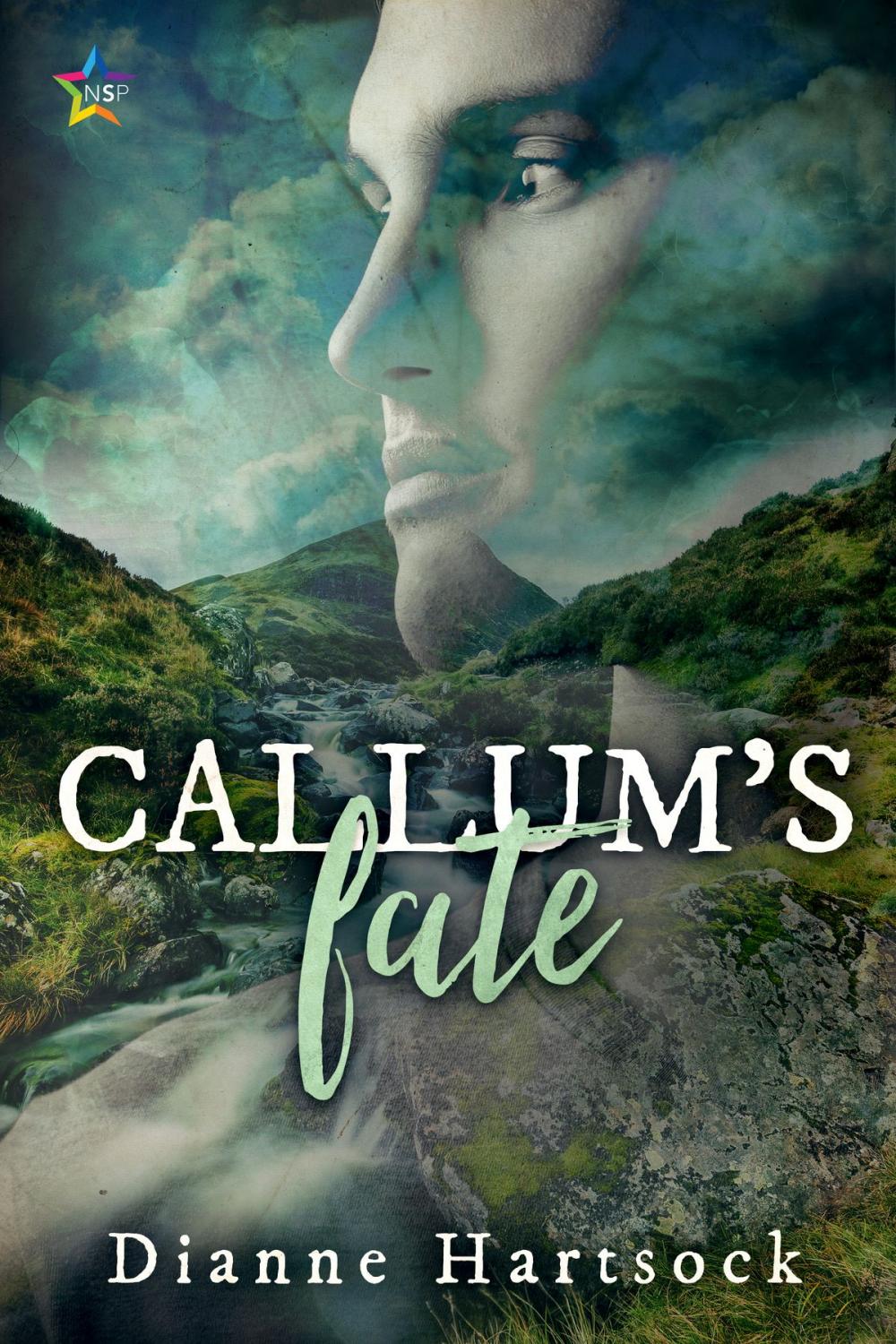 Big bigCover of Callum's Fate