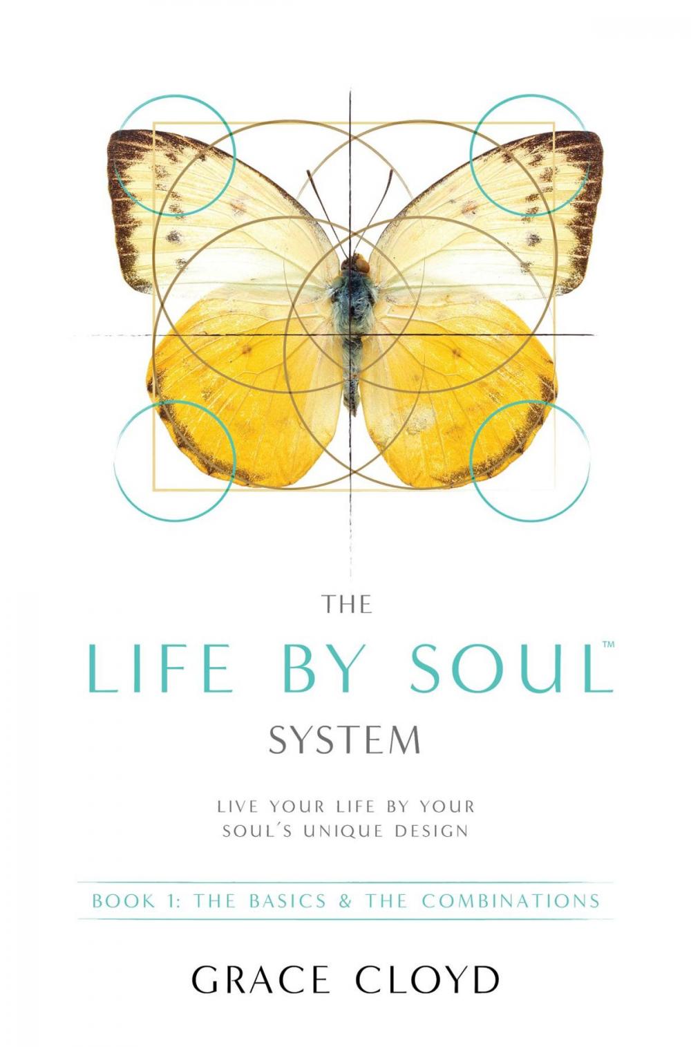 Big bigCover of The Life by Soul™ System