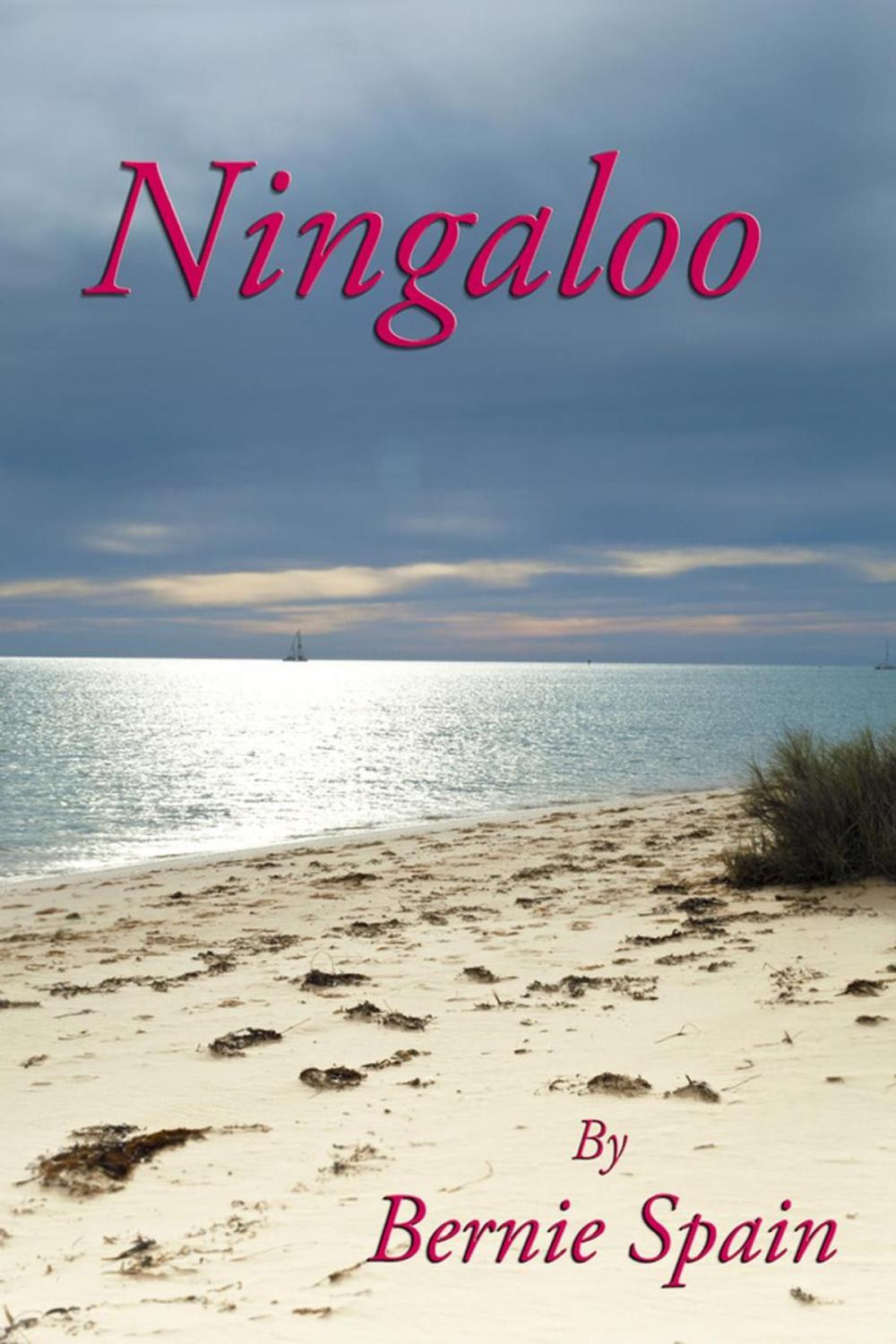 Big bigCover of Ningaloo