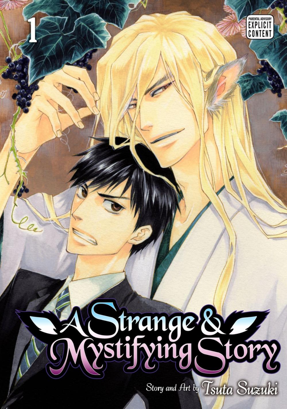 Big bigCover of A Strange and Mystifying Story, Vol. 1 (Yaoi Manga)