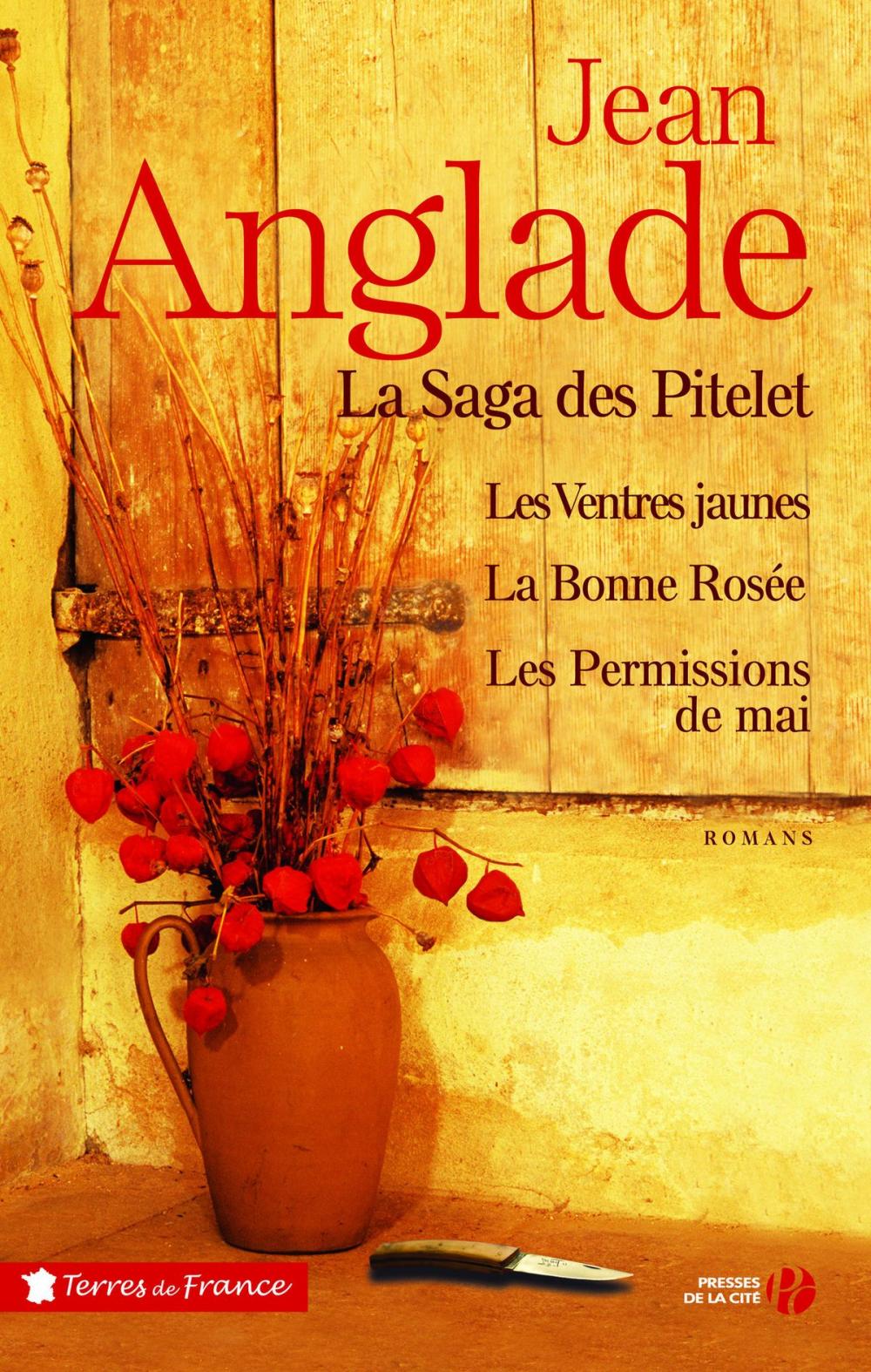 Big bigCover of La saga des Pitelet