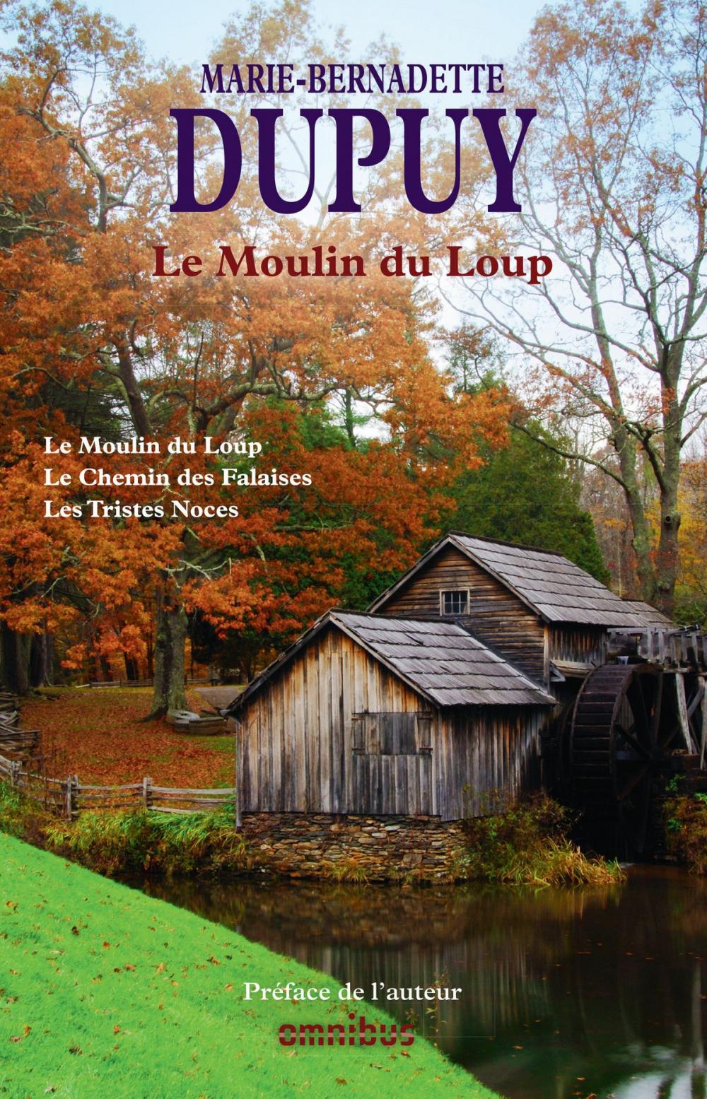 Big bigCover of Le Moulin du Loup Tome 1