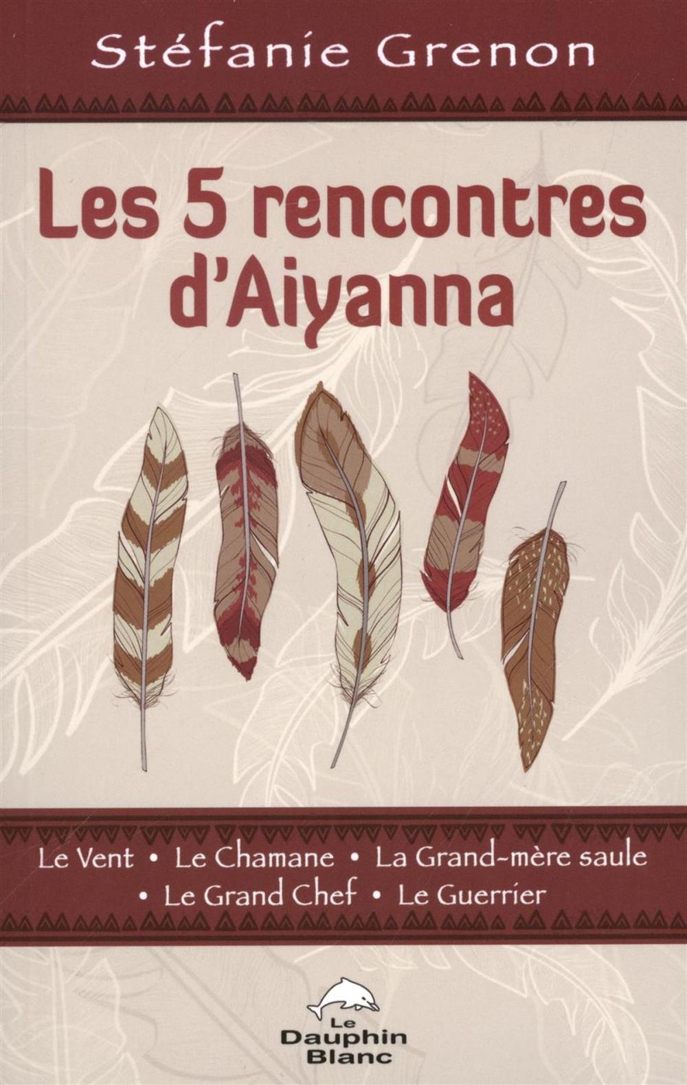 Big bigCover of Les 5 rencontres d'Aiyanna