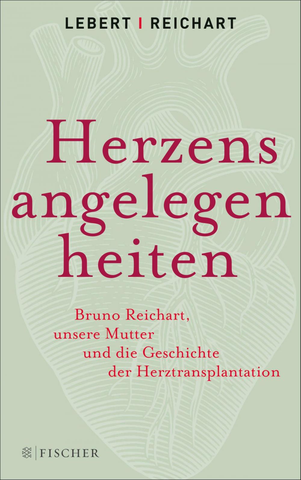 Big bigCover of Herzensangelegenheiten